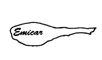 Imagen de EMICAR