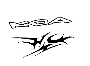 Imagen de KOA
