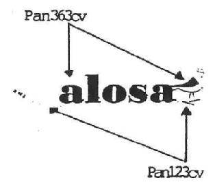 Imagen de ALOSA