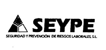 Imagen de SEYPE SEGURIDAD Y PREVENCION DE RIESGOS LABORALES, S.L