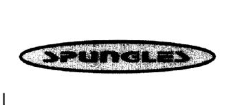 Imagen de SPUNGLES
