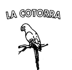 Imagen de LA COTORRA