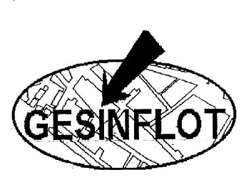Imagen de GESINFLOT