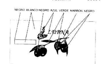 Imagen de LUBNA