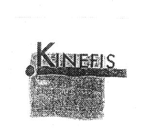 Imagen de KINEFIS