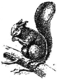 Imagen de M0122074