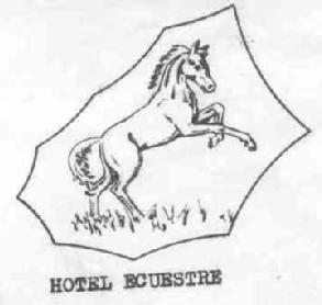 Imagen de HOTEL ECUESTRE