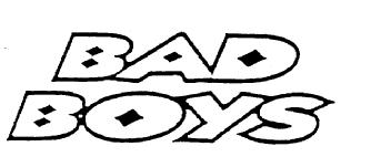 Imagen de BAD BOYS