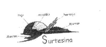 Imagen de SURTESINA