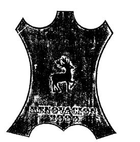 Imagen de RENOVACION 2000