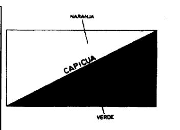 Imagen de CAPICUA