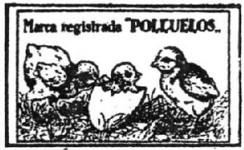 Imagen de POLLUELOS