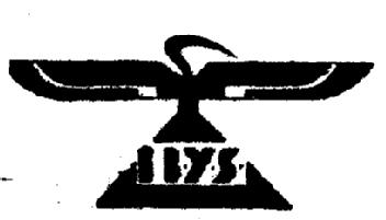Imagen de IBYS