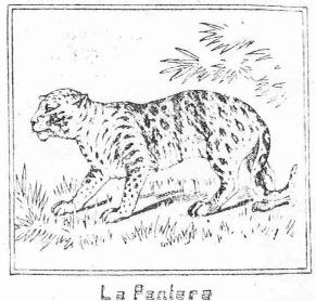 Imagen de LA PANTERA