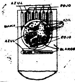 Imagen de KALISE