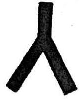 Imagen de M0251135