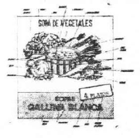 Imagen de GALLINA BLANCA