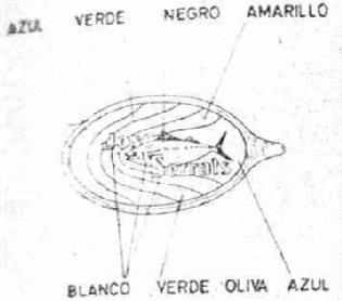 Imagen de JOSE SERRALS