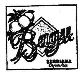 Imagen de BAGU BURRIANA ESPAÑA