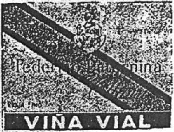 Imagen de FEDERICO PATERNINA VIÑA VIAL