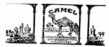 Imagen de CAMEL