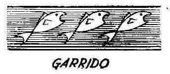 Imagen de GARRIDO