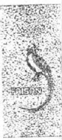 Imagen de FAISAN