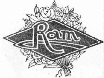 Imagen de RAM