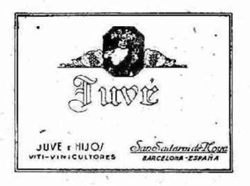 Imagen de JUVE