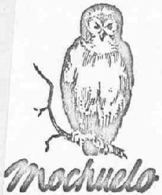 Imagen de MOCHUELO