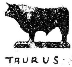 Imagen de TAURUS