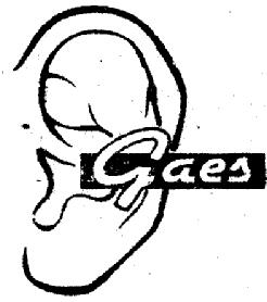 Imagen de GAES