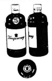Imagen de TANQUERAY