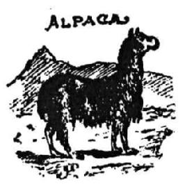 Imagen de ALPACA