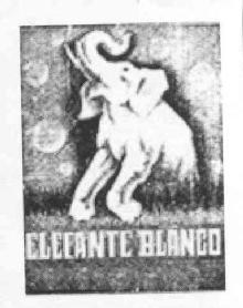 Imagen de ELEFANTE BLANCO