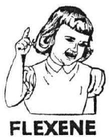 Imagen de FLEXENE