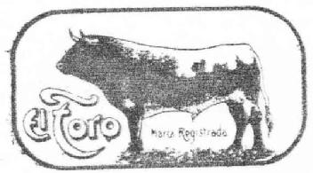 Imagen de EL TORO
