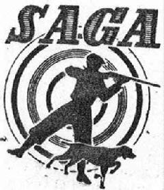 Imagen de SAGA