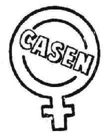 Imagen de CASEN