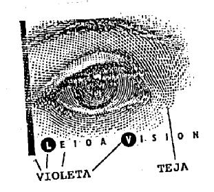Imagen de LEIOA VISION