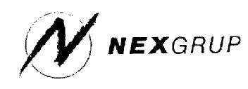 Imagen de N NEXGRUP