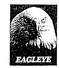 Imagen de EAGLEYE