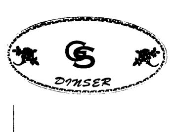 Imagen de GS DINSER
