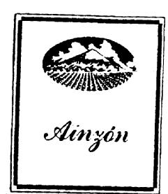 Imagen de AINZON