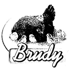 Imagen de BRUDY