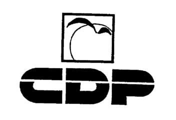 Imagen de CDP