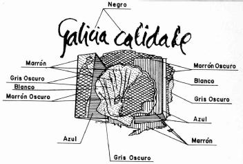 Imagen de GALICIA CALIDADE