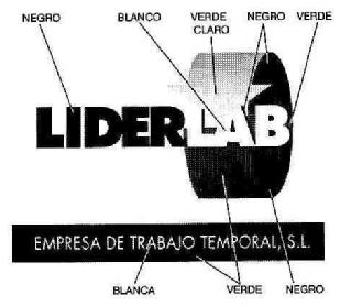 Imagen de LIDERLAB EMPRESA DE TRABAJO TEMPORAL, S.L