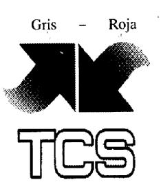 Imagen de TCS