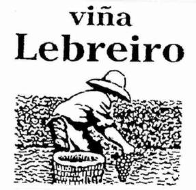 Imagen de VIÑA LEBREIRO